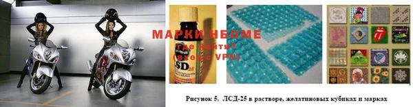 ALPHA PVP Иннополис