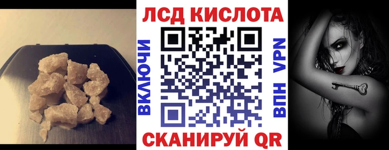 kraken как войти Кедровый Лсд 25 экстази ecstasy